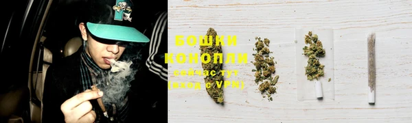 ГАЛЛЮЦИНОГЕННЫЕ ГРИБЫ Алексеевка