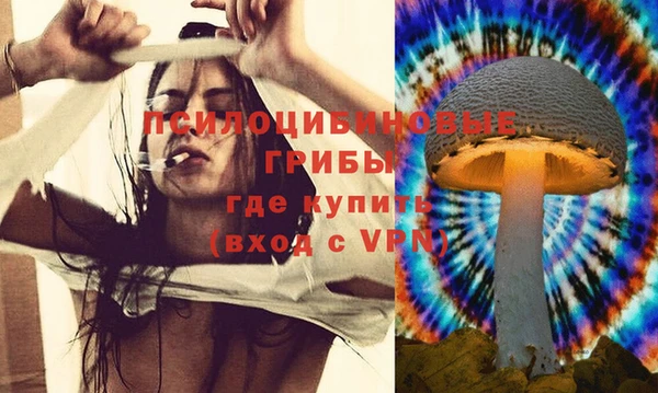 ГАЛЛЮЦИНОГЕННЫЕ ГРИБЫ Алексеевка